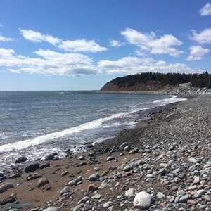 Meet your Posher, Sheila